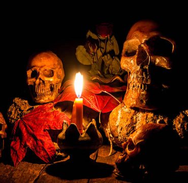 Skull and candle with candlestick on wooden background, still life concept Skull and candle with candlestick on wooden background, still life concept